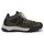 Čevlji  Moški Pohodništvo Scarpa 005 ROVE GTX STONE Bež