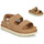 Čevlji  Ženske Sandali & Odprti čevlji UGG W GOLDENSTAR GLIDE Konjak