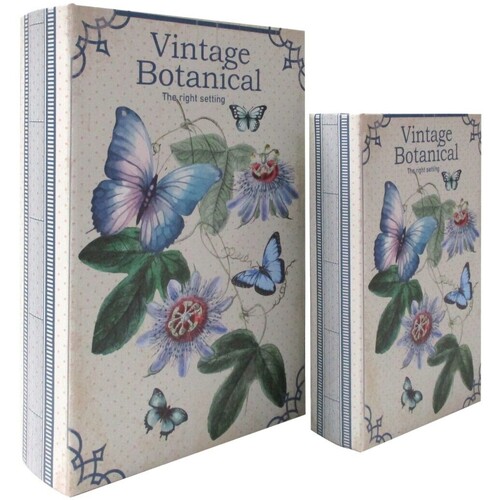 Dom Košare / škatle in košarice Signes Grimalt Knjižna Škatla Butterfly 2U Modra