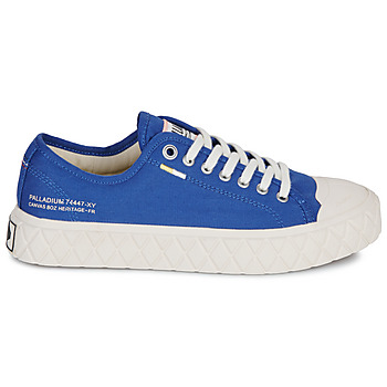 Palladium PALLA ACE CVS ORG