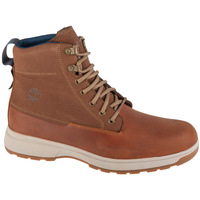 Čevlji  Moški Pohodništvo Timberland Atwells Ave WP Boot Kostanjeva