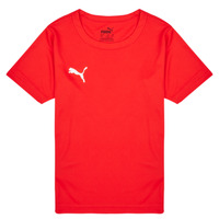Oblačila Dečki Majice s kratkimi rokavi Puma TEAMRISE MATCH DAY Rdeča