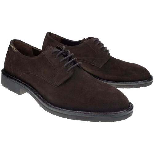 Mephisto Taylor Kostanjeva