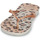 Čevlji  Ženske Japonke Havaianas SLIM ANIMALS Bež / Črna