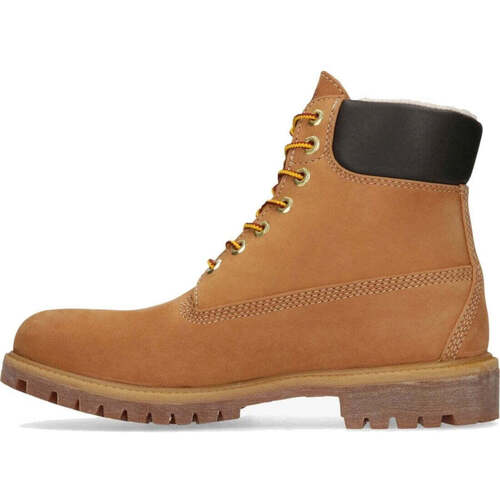 Timberland  Kostanjeva