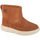 Čevlji  Ženske Polškornji Sorel Explorer III Slip-on WP Kostanjeva