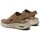 Čevlji  Ženske Sandali & Odprti čevlji Skechers 119458 ARCH FIT BRIGHTEST DAY Kostanjeva