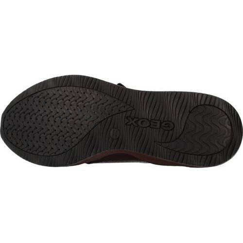 Geox D OMAYA Bordo