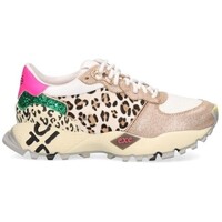 Čevlji  Ženske Modne superge Exé Shoes 134 350 Večbarvna
