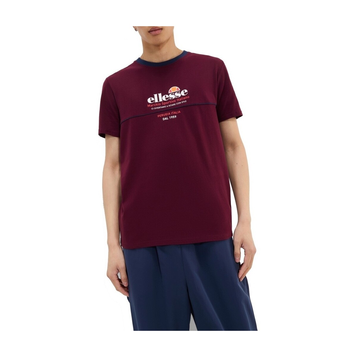 Oblačila Moški Majice & Polo majice Ellesse SVELLAN TEE Bordo
