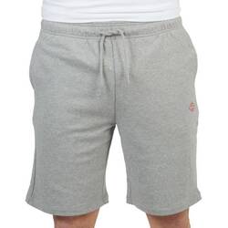 Oblačila Ženske Hlače Dickies MAPLETON SHORT UNISEX Siva