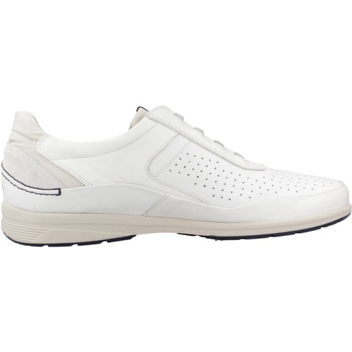 Fluchos F1736 Bela