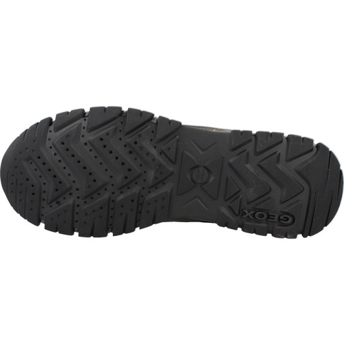 Geox U DORAY B ABX Kostanjeva
