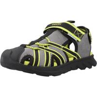 Čevlji  Dečki Sandali & Odprti čevlji Geox J SANDAL AIRADYUM BO Siva