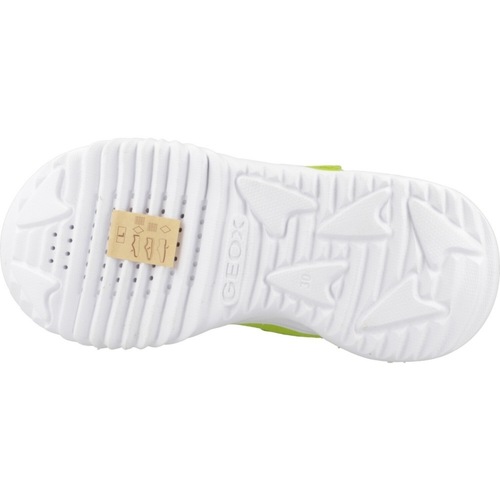 Geox J ASSISTER BOY Zelena