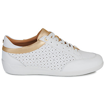 Geox D5568C05485C1000