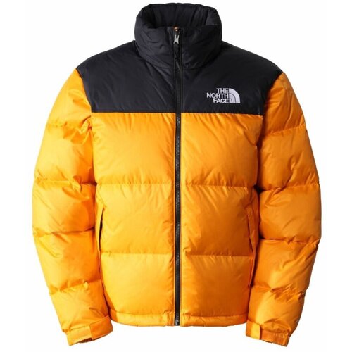 Oblačila Moški Puhovke The North Face NF0A3C8D Večbarvna
