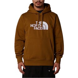 Oblačila Moški Puloverji The North Face NF0A89EM Kostanjeva