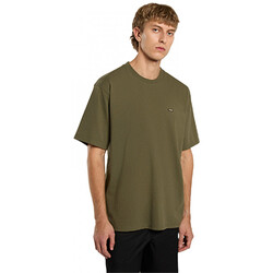 Oblačila Moški Majice & Polo majice Dickies Clancy heavyweight tee ss Zelena