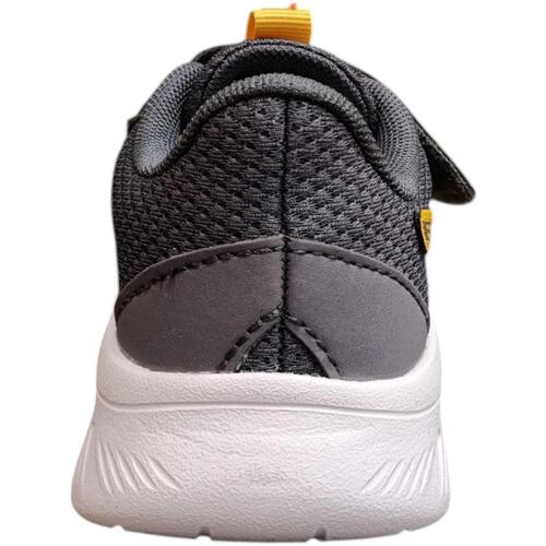 Puma flexfocus Večbarvna