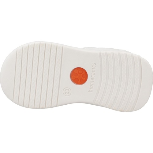Biomecanics 252140B Bela
