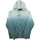 Oblačila Moški Puloverji Nike Sweat à capuche Homme Dip-Dyed Siva