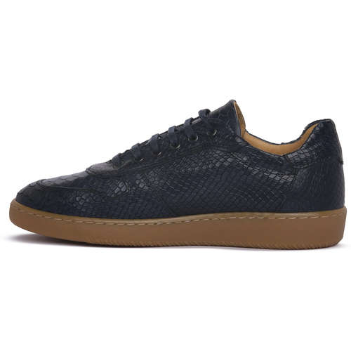 Exton MARINO STAMP Modra