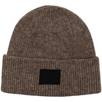 Tekstilni dodatki Moški Kape Calvin Klein Jeans RUBBERIZED BEANIE K50K512458 Kostanjeva