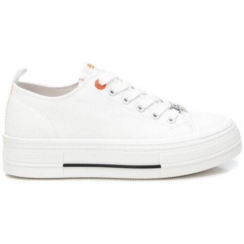 Refresh 172817 Bela