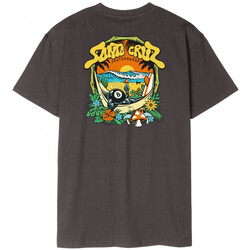 Oblačila Moški Majice & Polo majice Santa Cruz Winkowski 8baller trip t-shirt Črna