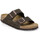 Čevlji  Sandali & Odprti čevlji BIRKENSTOCK Arizona leve Kostanjeva