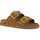 Čevlji  Ženske Sandali & Odprti čevlji Colors of California Two buckle sandal with studs Kostanjeva