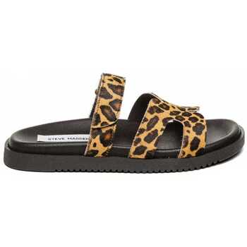 Čevlji  Ženske Sandali & Odprti čevlji Steve Madden Missile-lc Večbarvna