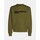Oblačila Moški Puloverji Karl Lagerfeld A1M20001 REG ESSENTIAL LOGO Zelena