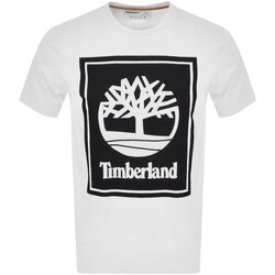 Oblačila Moški Majice s kratkimi rokavi Timberland TB0A2AJ1 Bela