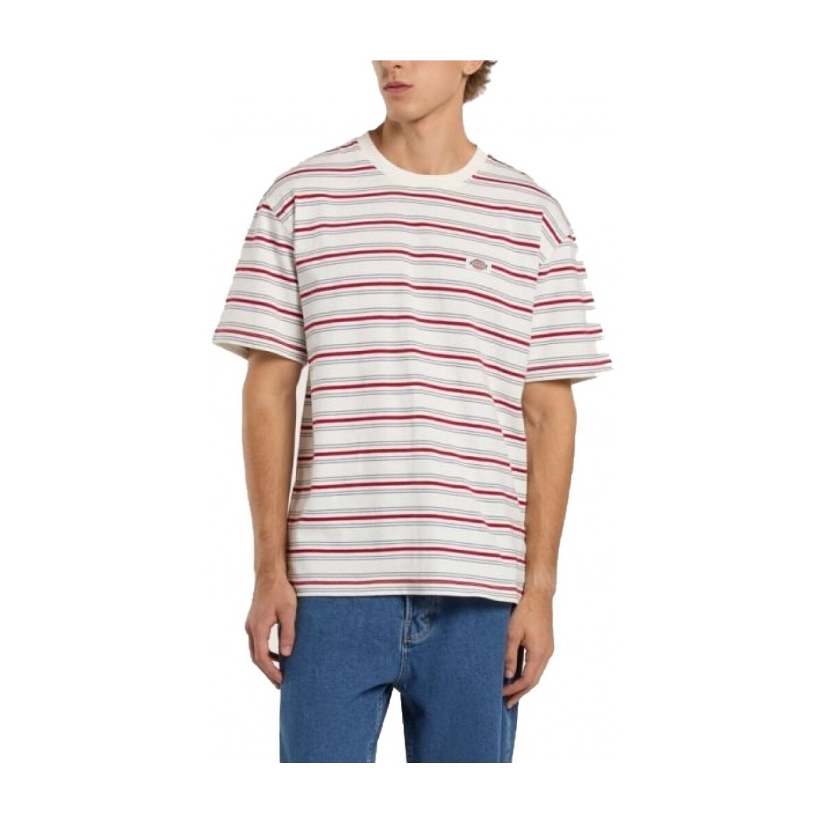 Oblačila Moški Majice & Polo majice Dickies LEWISTOWN STRIPE SS TE Bela