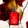 Lepota Ženske Parfumska voda Cacharel Amor Amor Eau de Parfum 30 ml Drugo
