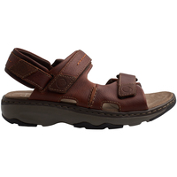 Čevlji  Moški Sandali & Odprti čevlji Clarks RAFFE-COAST-BROWN LETAHER Kostanjeva