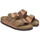Čevlji  Ženske Sandali & Odprti čevlji BIRKENSTOCK Arizona syn Kostanjeva