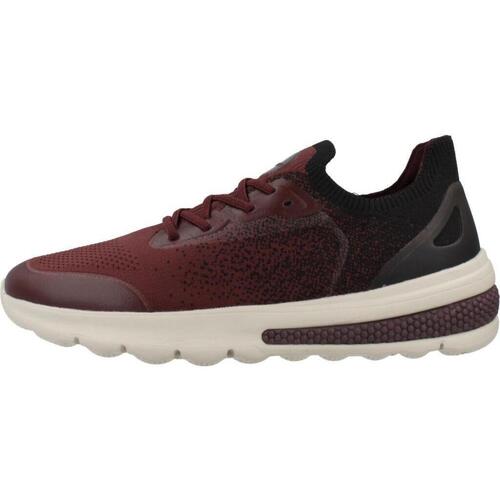 Geox U SPHERICA ACTIF Bordo