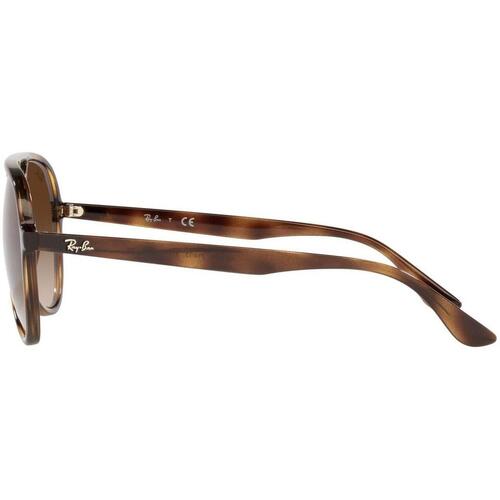 Ray-ban UNISEX 0RB4376 710/13 Kostanjeva