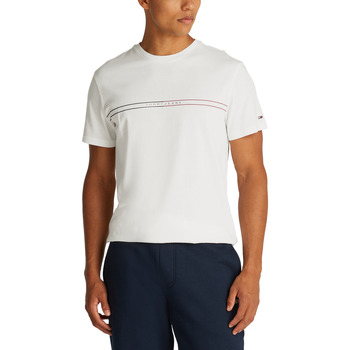 Tommy Hilfiger TJM ENTRY GRAPHIC DM0DM20779