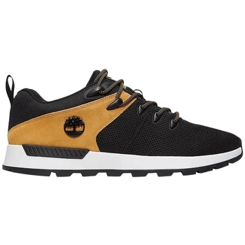 Čevlji  Moški Modne superge Timberland SPRINT TREKKER LOW LACE U Črna