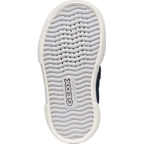 Geox  Modra