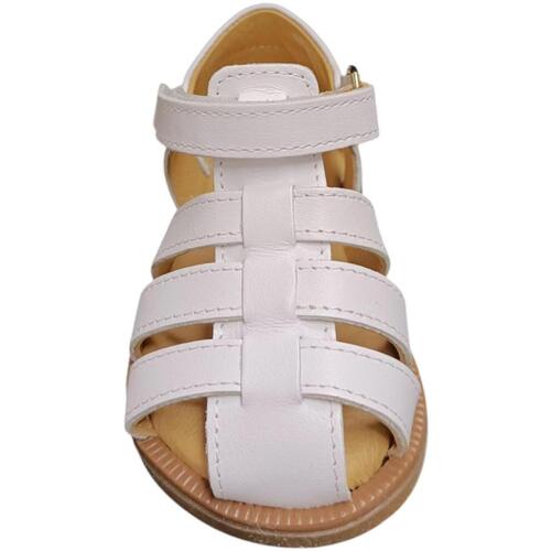 Platis open classic Bela