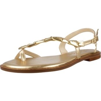 Caryatis 621606C