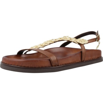 Caryatis 682609C