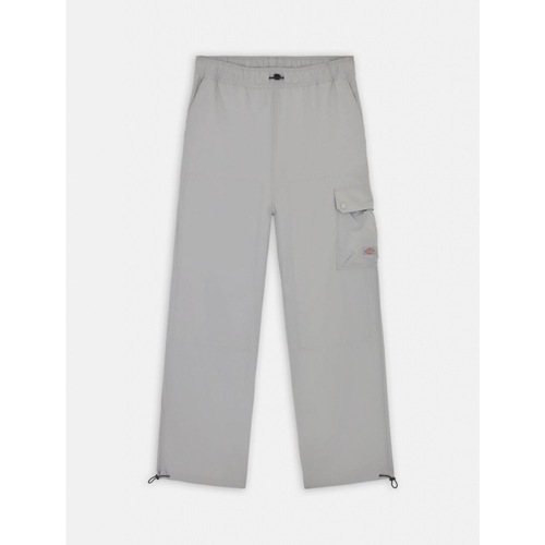 Oblačila Ženske Hlače Dickies JACKSON CARGO W ULTIMA Siva