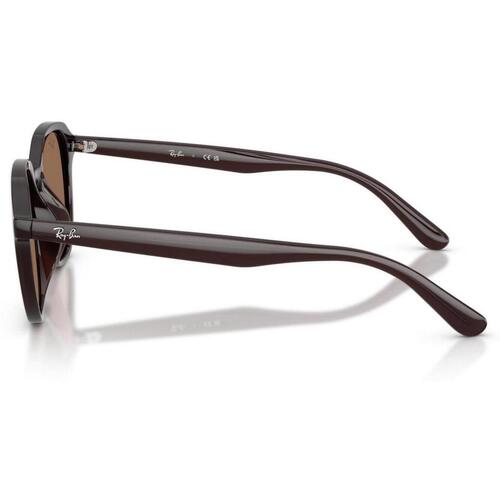 Ray-ban UNISEX 0RB4459D 623173 Kostanjeva