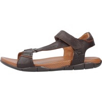 Čevlji  Moški Sandali & Odprti čevlji Kangaroos K858 Kostanjeva